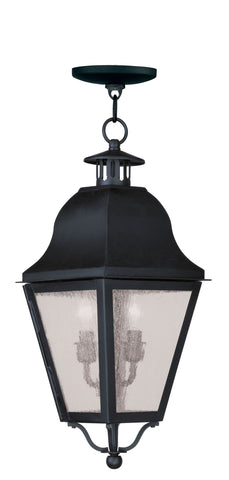 Livex Amwell 2 Light Black Outdoor Chain Lantern  - C185-2546-04